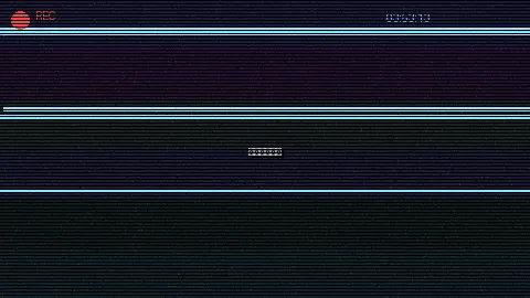 周末随拍记录 - 911爆料 原创视频